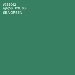 #388062 - Sea Green Color Image